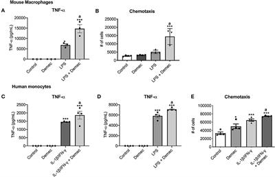 Demeclocycline Reduces the Growth of Human Brain Tumor-Initiating Cells: Direct Activity and Through Monocytes